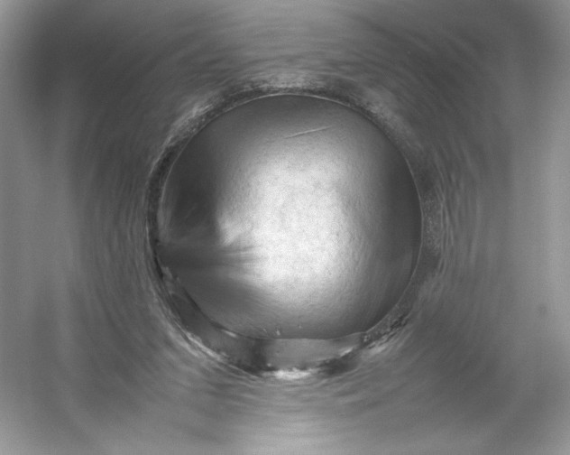 X0000053130207200507251758