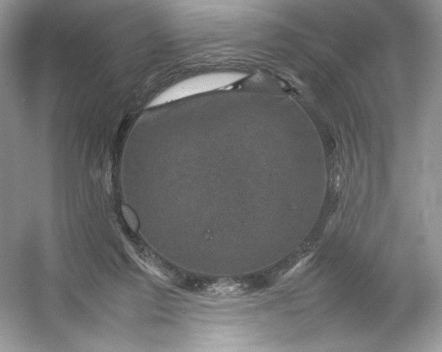 X0000053130213200507251758