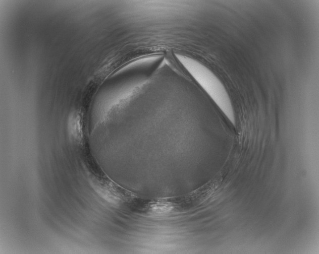 X0000053130214200507251758