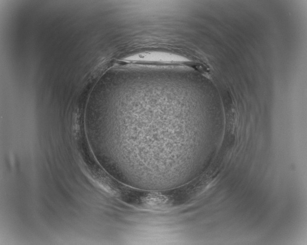 X0000053130215200507251758
