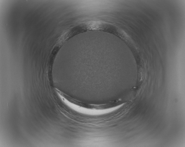 X0000053130217200507251758