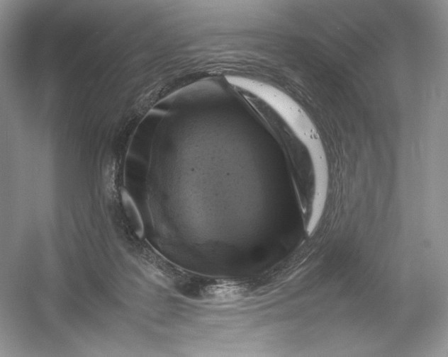 X0000053130219200507251758