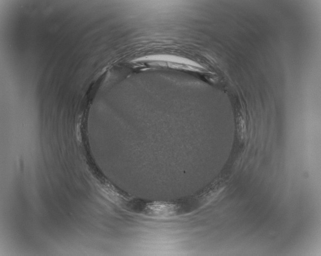 X0000053130221200507251758