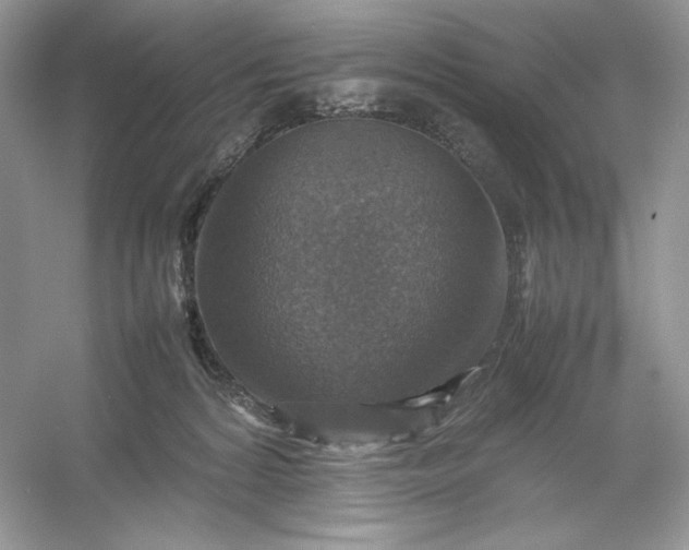 X0000053130224200507251757