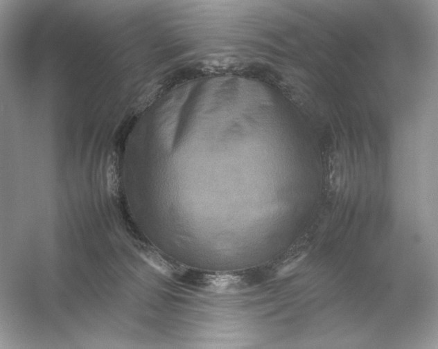 X0000053130226200507251757