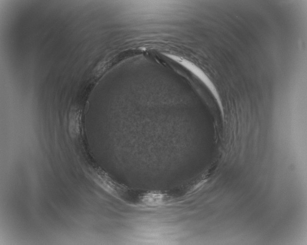 X0000053130227200507251757