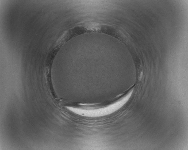 X0000053130229200507251757