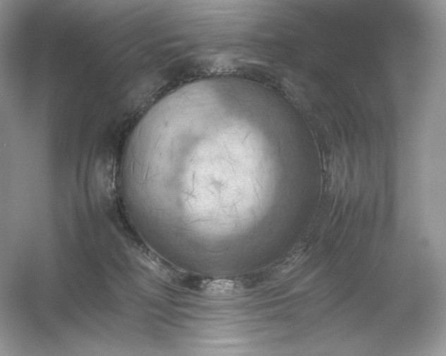 X0000053130230200507251757