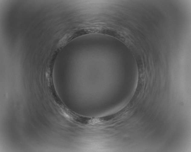 X0000053130231200507251757