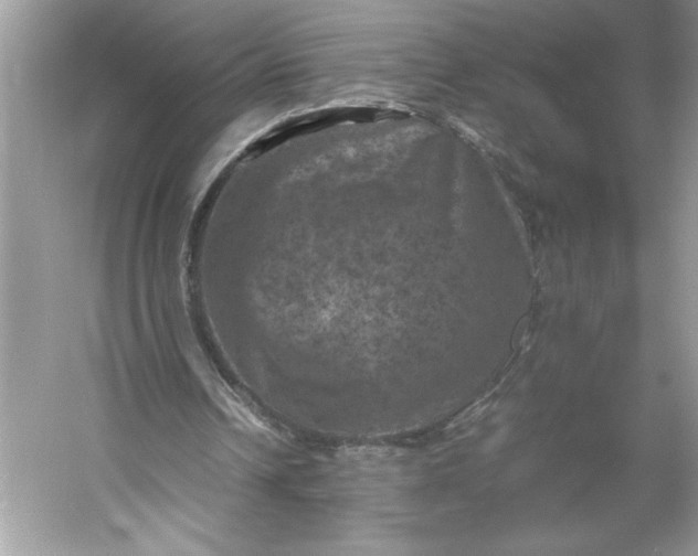X0000053130242200507251756