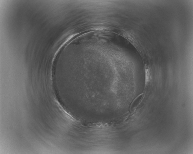 X0000053130243200507251756