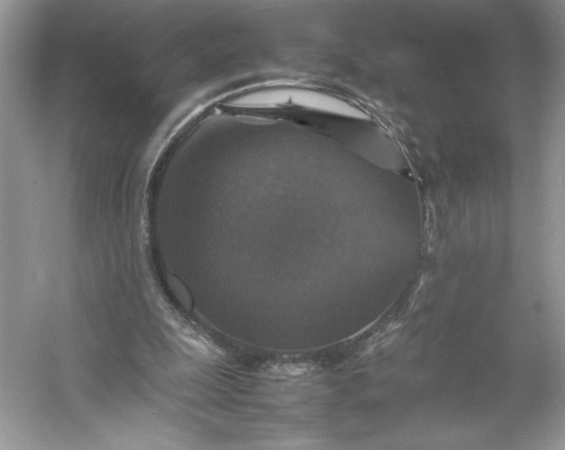 X0000053130247200507251757