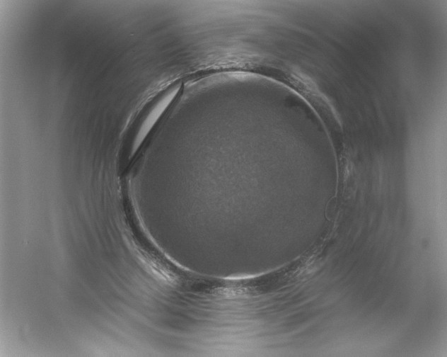 X0000053130250200507251757