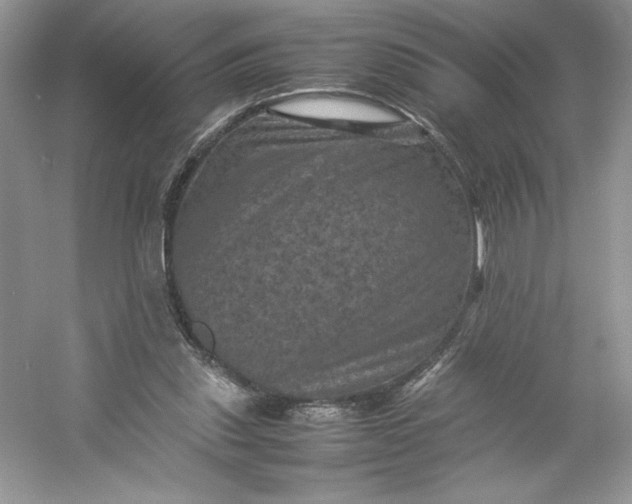 X0000053130253200507251757