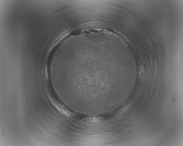 X0000053130254200507251757