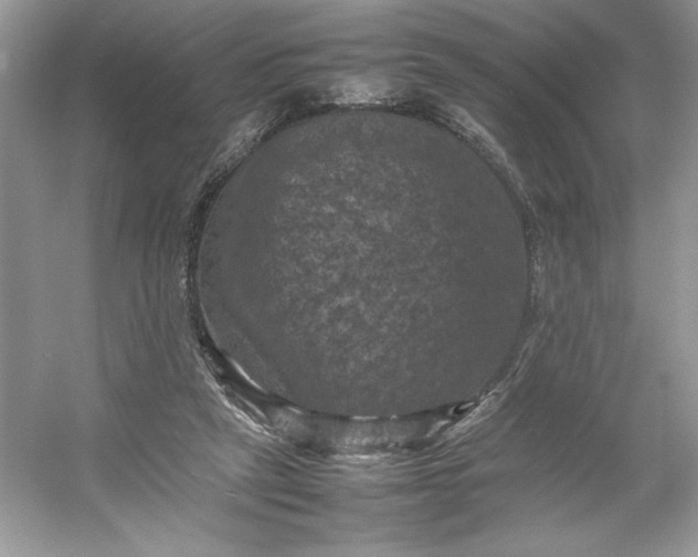 X0000053130257200507251757