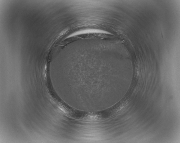X0000053130260200507251757
