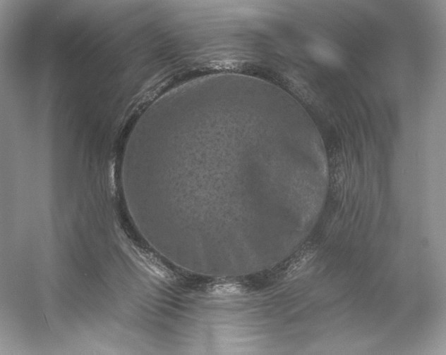 X0000053130262200507251757