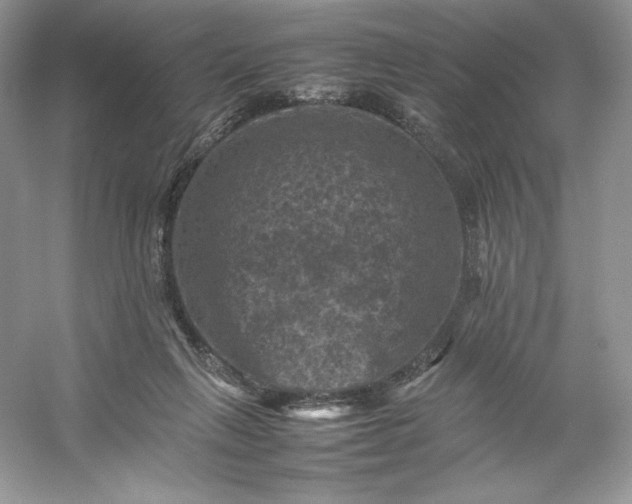 X0000053130263200507251757