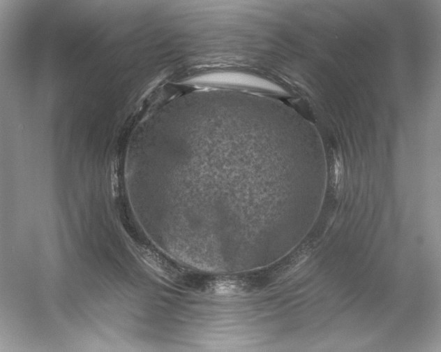 X0000053130264200507251757