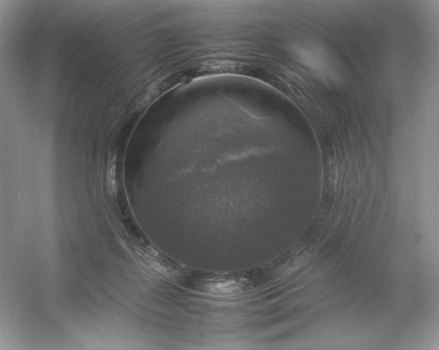 X0000053130267200507251757