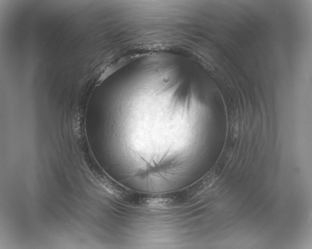 X0000053130268200507251757