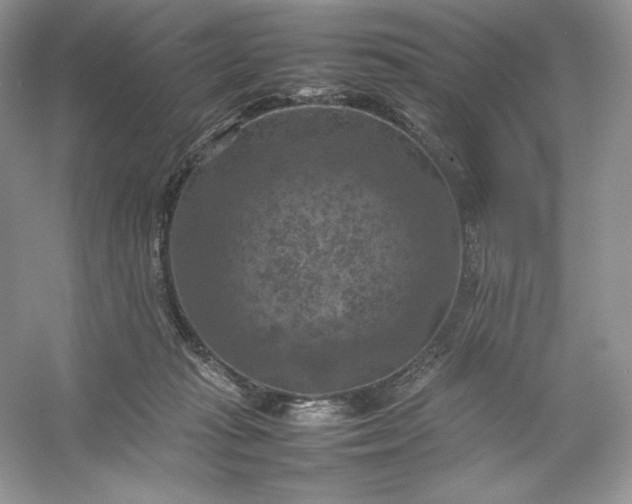X0000053130269200507251757