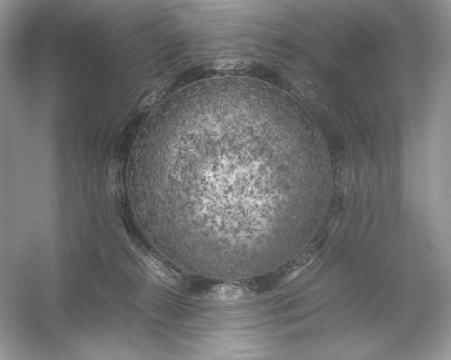 X0000053130272200507251757