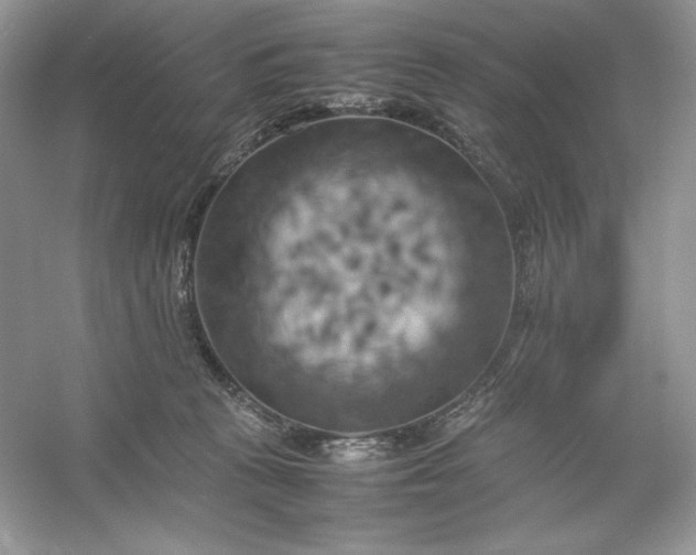 X0000053130273200507251757