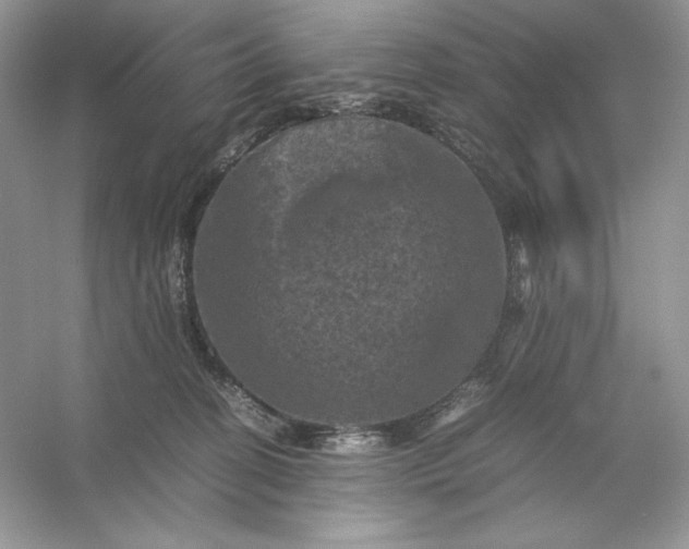X0000053130274200507251757
