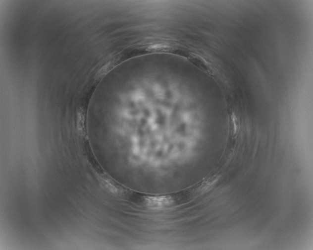X0000053130281200507251757