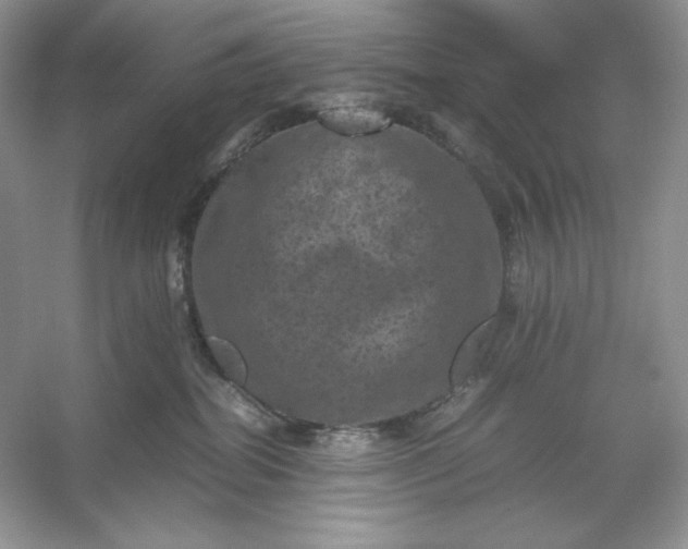 X0000053130282200507251757
