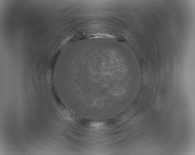 X0000053130283200507251757