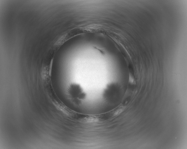 X0000053130284200507251757