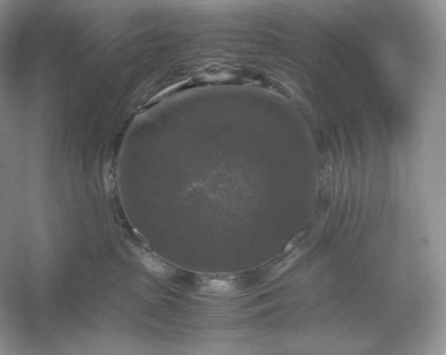 X0000053130285200507251757