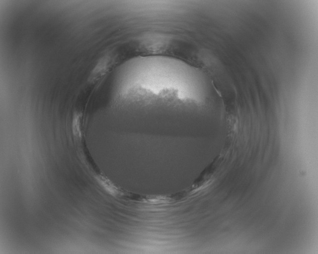 X0000053130286200507251757