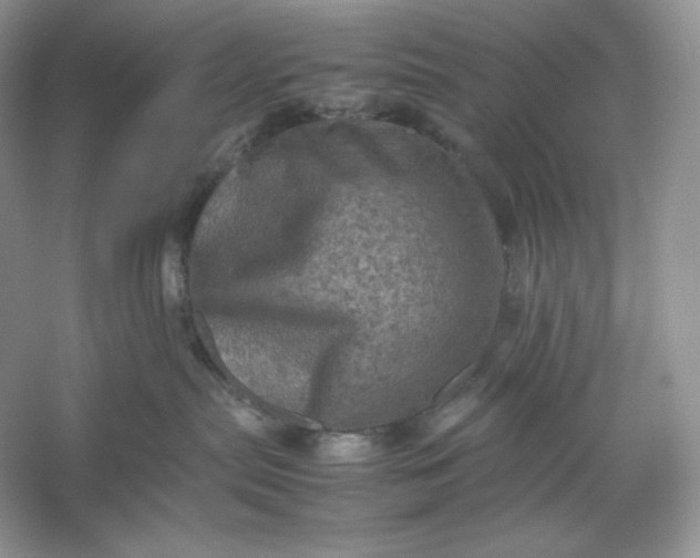 X0000053130287200507251757