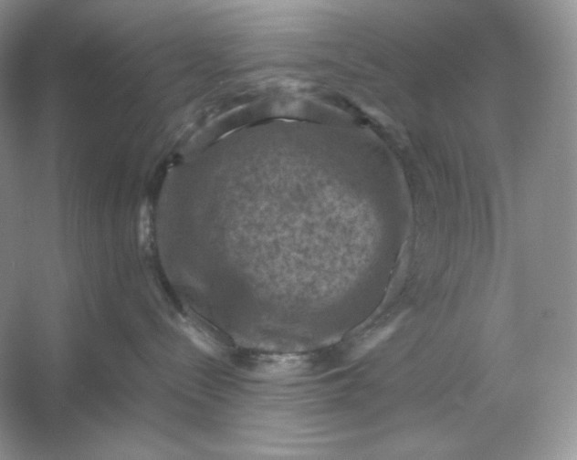 X0000053130288200507251757