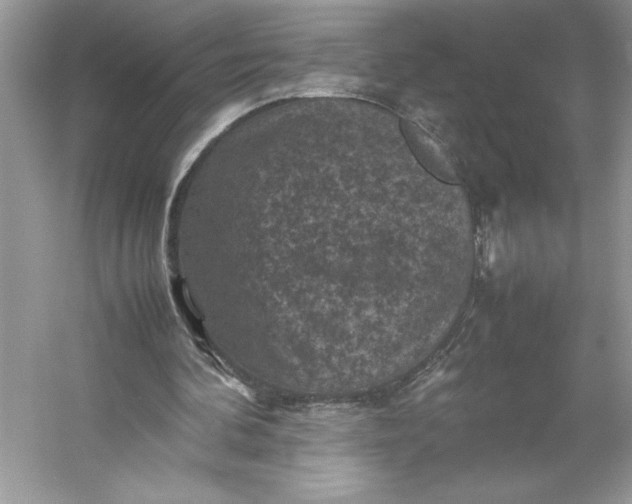 X0000053130292200507251756