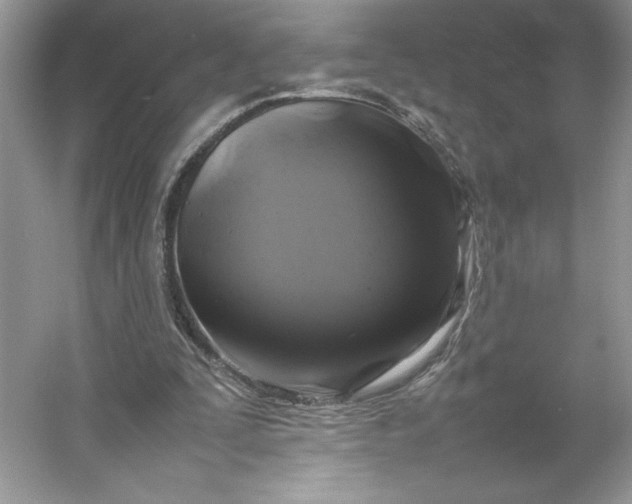 X0000053130295200507251756