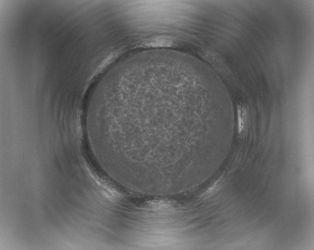 X0000053130300200507251756
