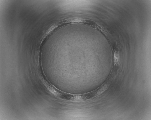 X0000053130301200507251756