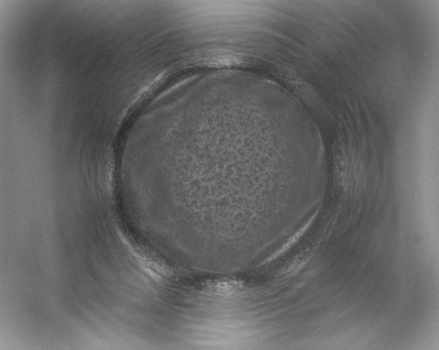 X0000053130304200507251756