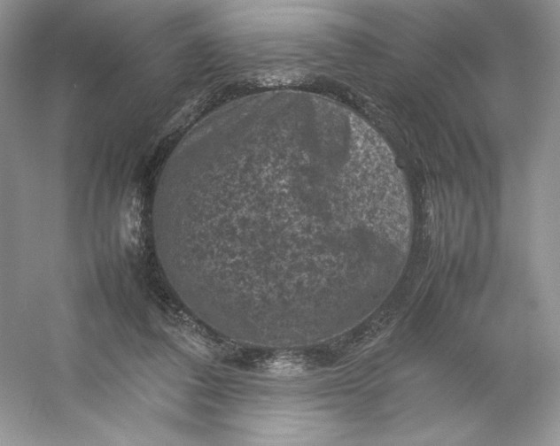 X0000053130308200507251756