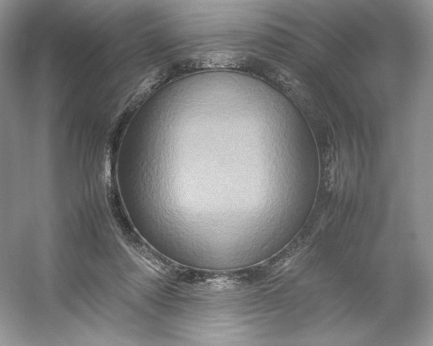 X0000053130310200507251756