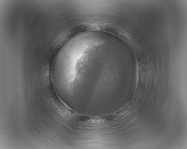 X0000053130314200507251756