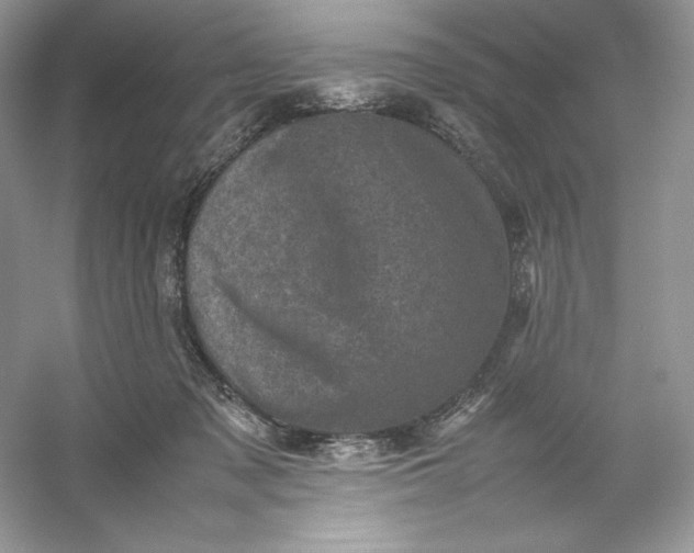X0000053130317200507251756
