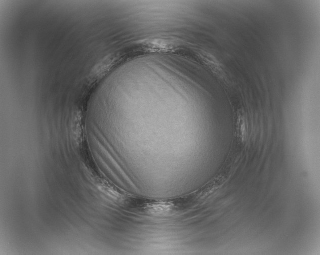 X0000053130318200507251756