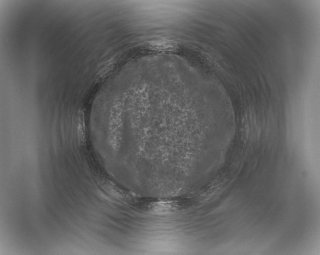 X0000053130320200507251756