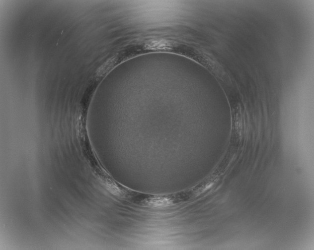 X0000053130322200507251756